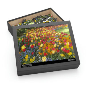 Puzzle (120, 252, 500-Piece)