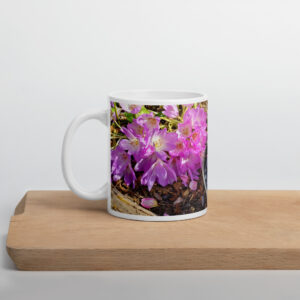 Grapes Glossy Mug