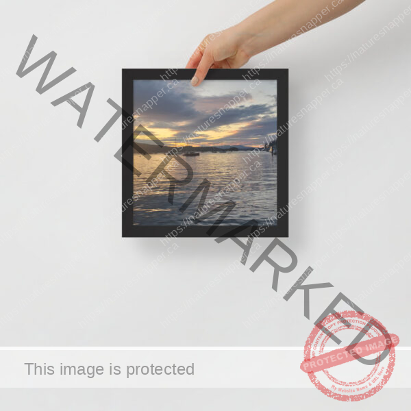 Framed poster - Image 2