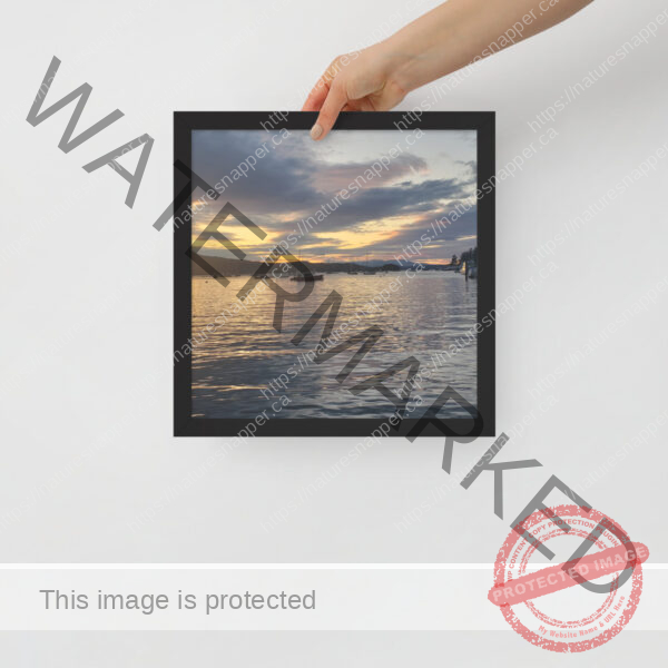 Framed poster - Image 3