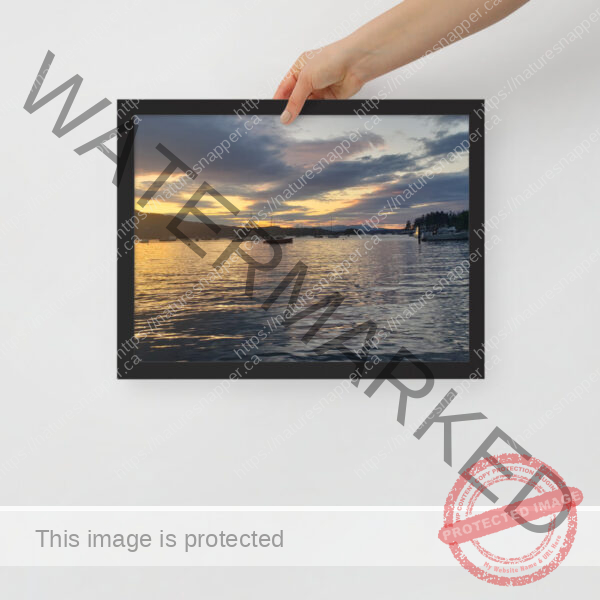 Framed poster - Image 4