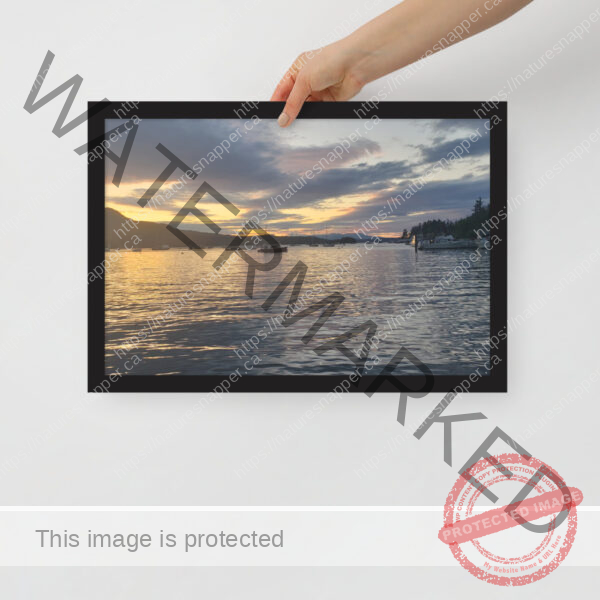 Framed poster - Image 6