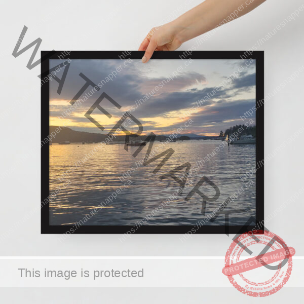 Framed poster - Image 8
