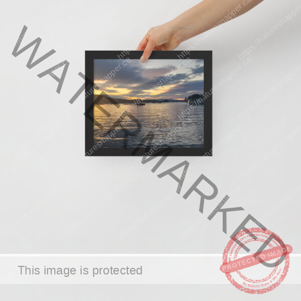 Framed poster