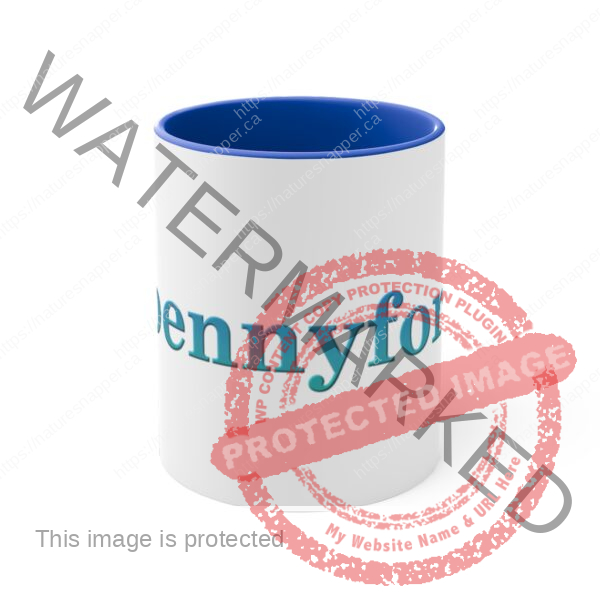 11oz Accent Mug