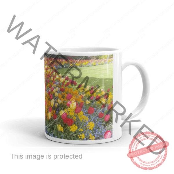 White Glossy Tulips Mug