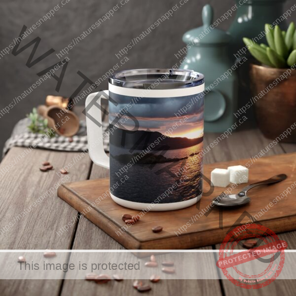 Stormy Sundown - Insulated Coffee Mug, 10oz