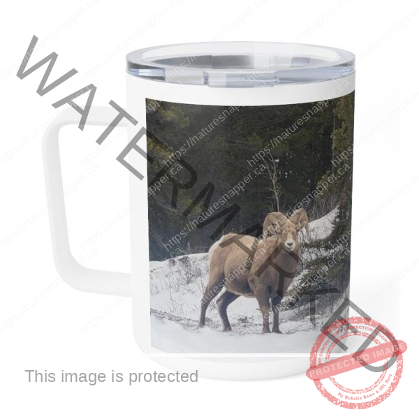Big Horn Insulated Coffee Mug, 10oz