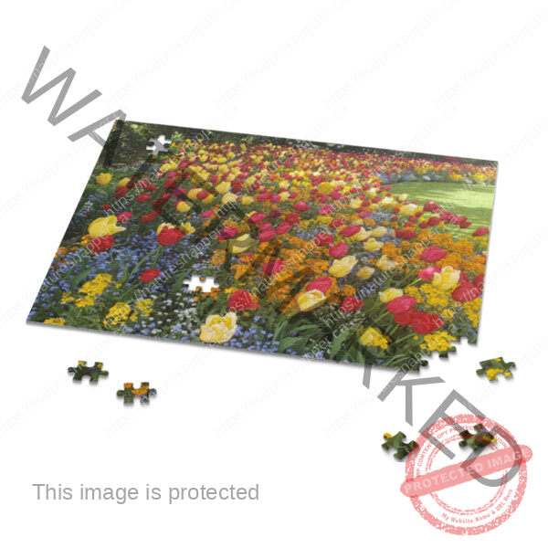 Puzzle (120, 252, 500-Piece) - Image 3