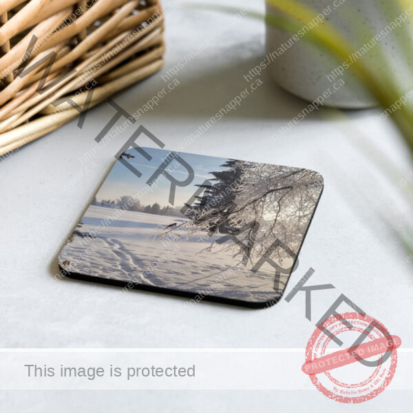 Frosty Cork-back coaster