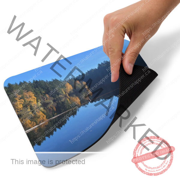 Mouse pad