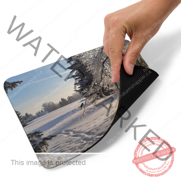 Mouse pad