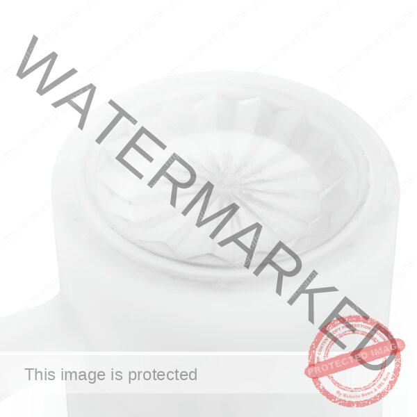 Frosted Mountain Glass Beer Mug - Image 6