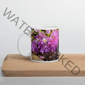 Grapes Glossy Mug