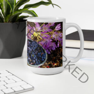 Grapes Glossy Mug