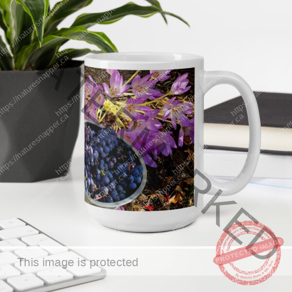Grapes Glossy Mug